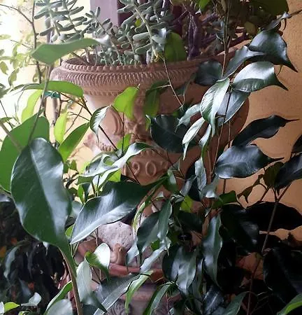 Διαμέρισμα Casa Marin Marais